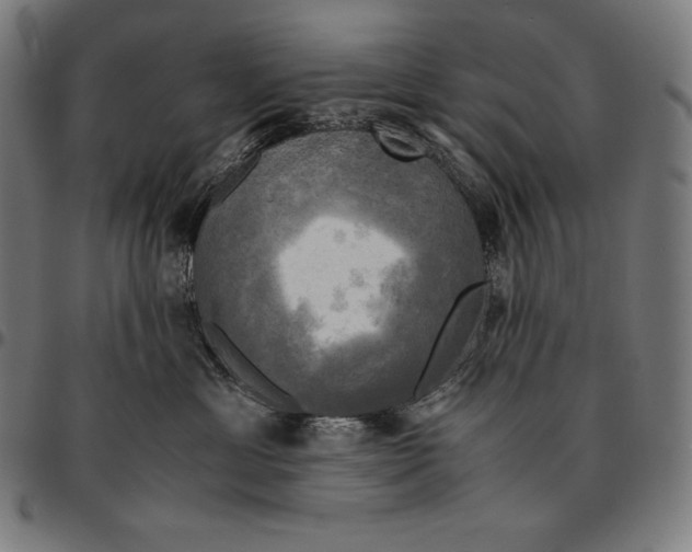 X0000095120429200801041227