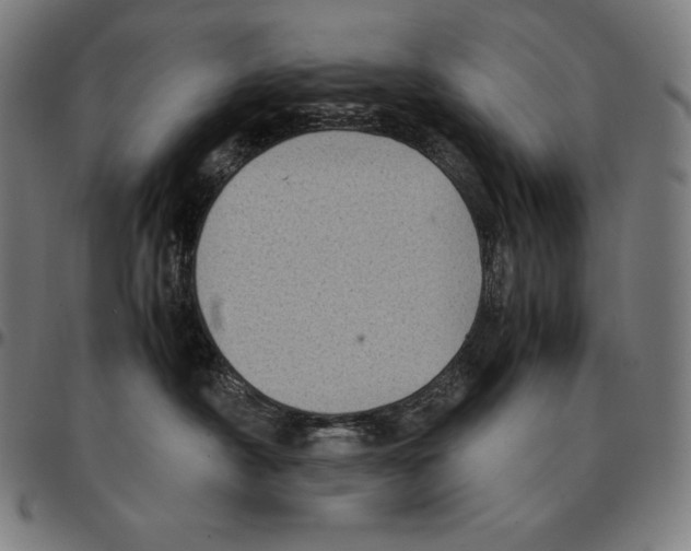 X0000095120430200801041227