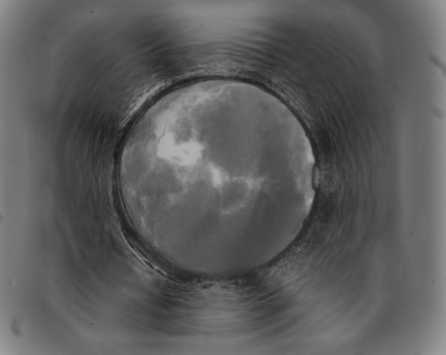 X0000095120434200801041226