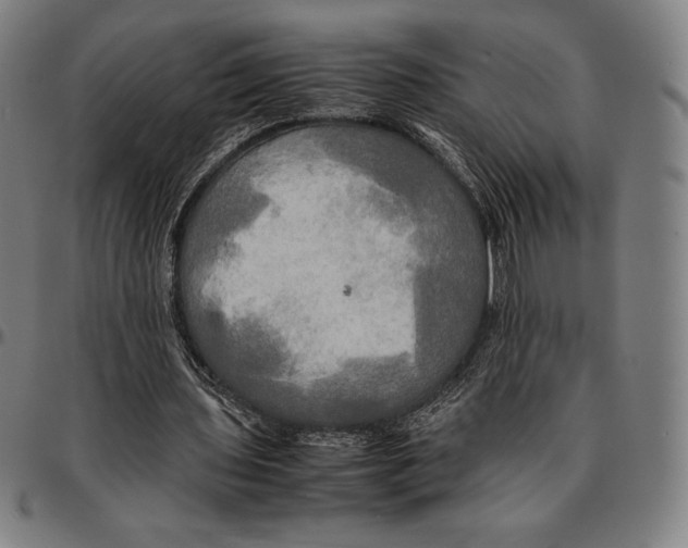 X0000095120435200801041227