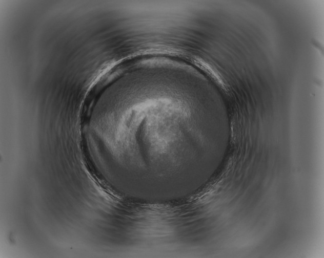 X0000095120436200801041227