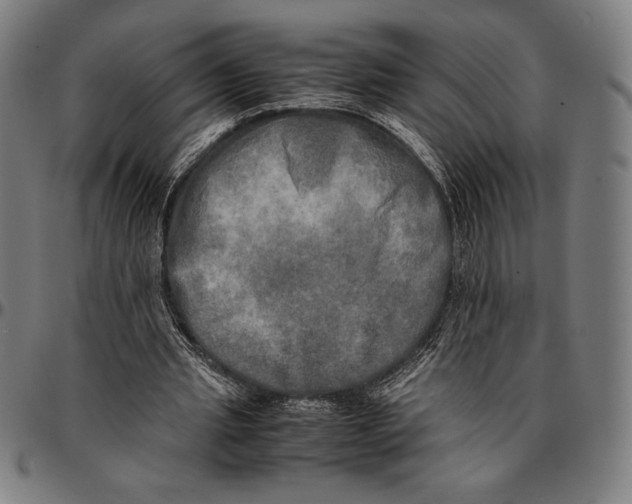 X0000095120437200801041227