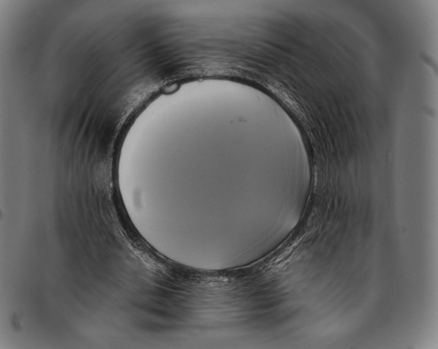 X0000095120438200801041227