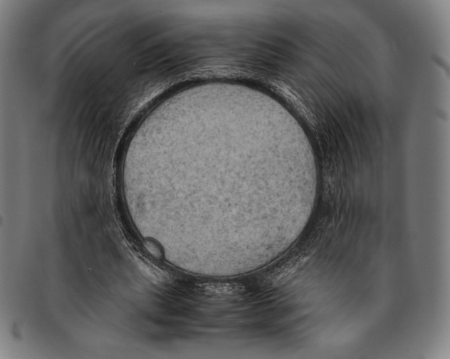 X0000095120439200801041227