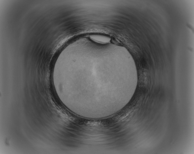 X0000095120440200801041227