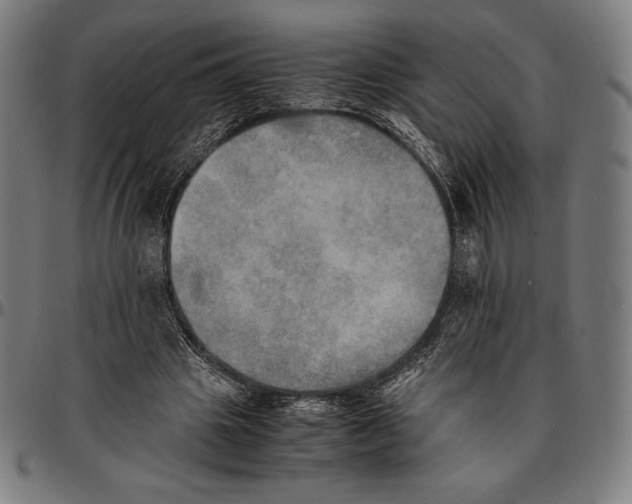 X0000095120441200801041227