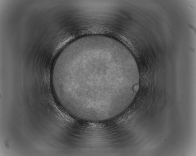 X0000095120442200801041227