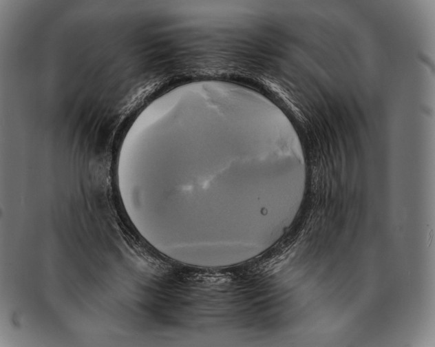 X0000095120443200801041227