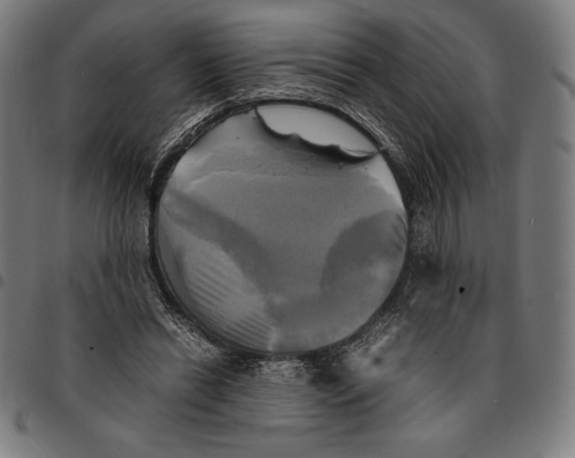 X0000095120446200801041227