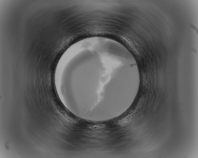 X0000095120447200801041227