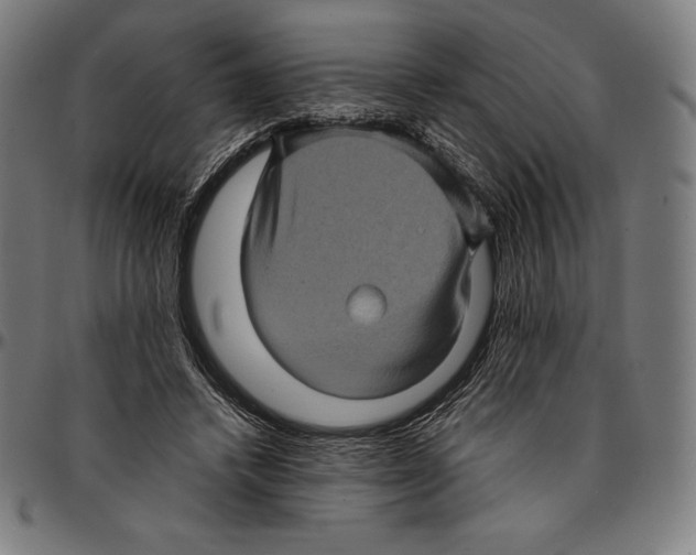 X0000095120448200801041227