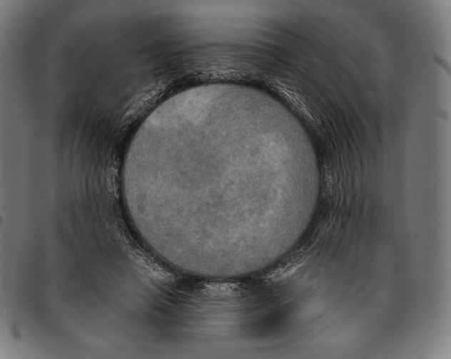 X0000095120450200801041227