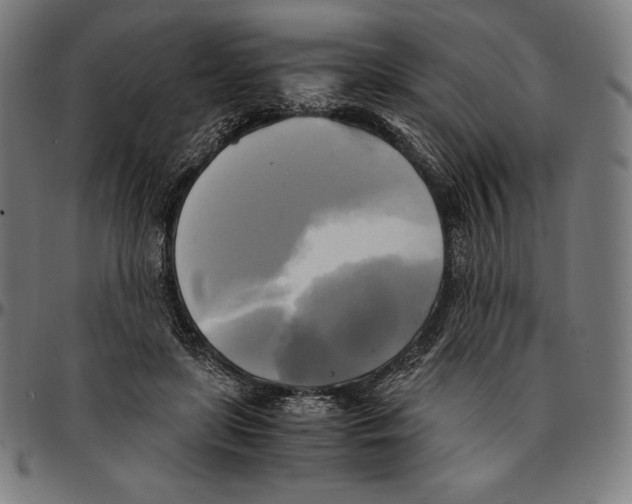 X0000095120451200801041227