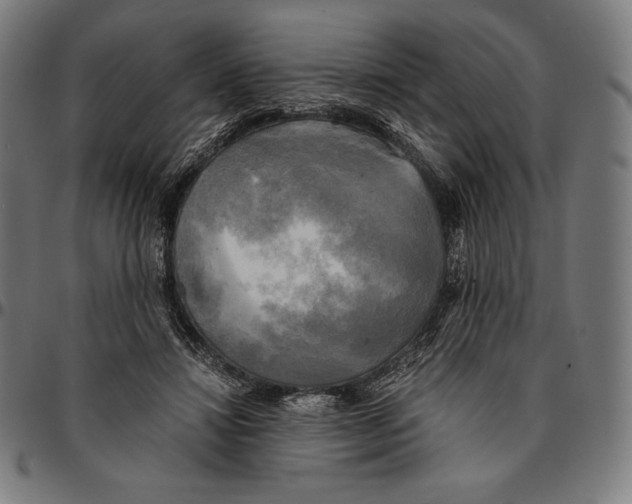 X0000095120452200801041227