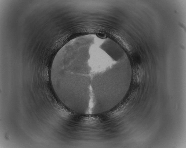 X0000095120453200801041227