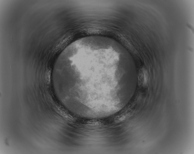 X0000095120454200801041227