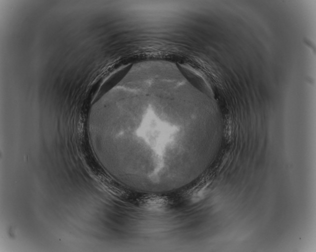 X0000095120456200801041227