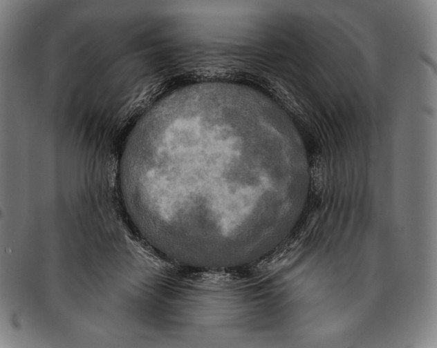 X0000095120458200801041227