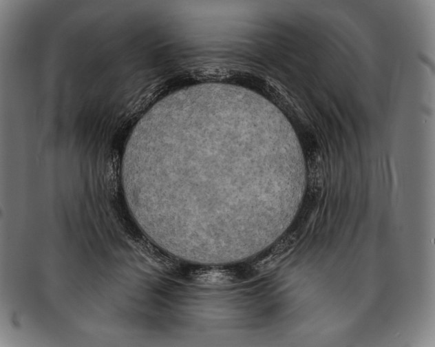 X0000095120460200801041227