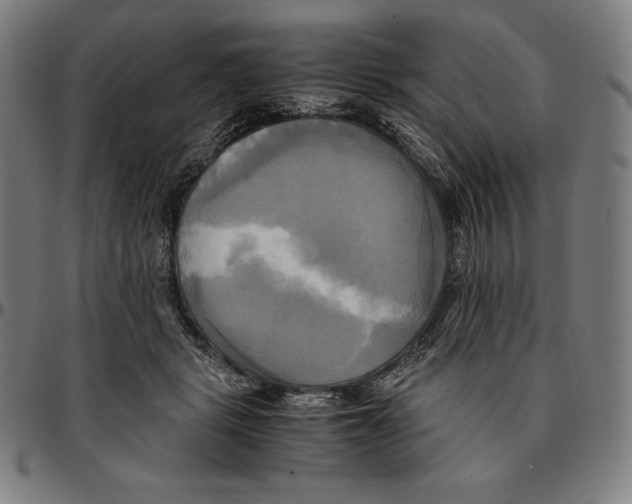 X0000095120461200801041227