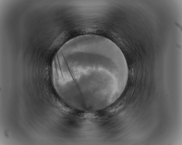 X0000095120462200801041227