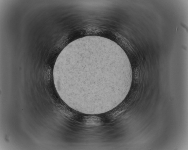 X0000095120463200801041227