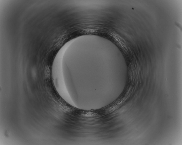 X0000095120467200801041227