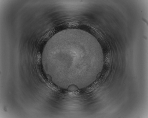 X0000095120468200801041227