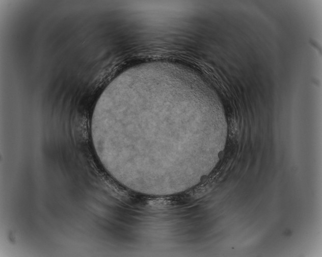 X0000095120470200801041227