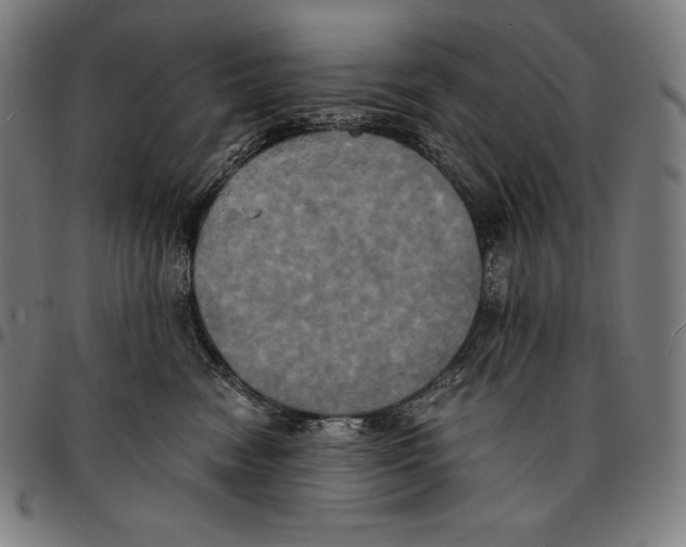 X0000095120474200801041227