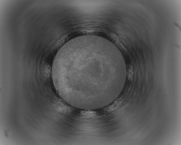 X0000095120476200801041227