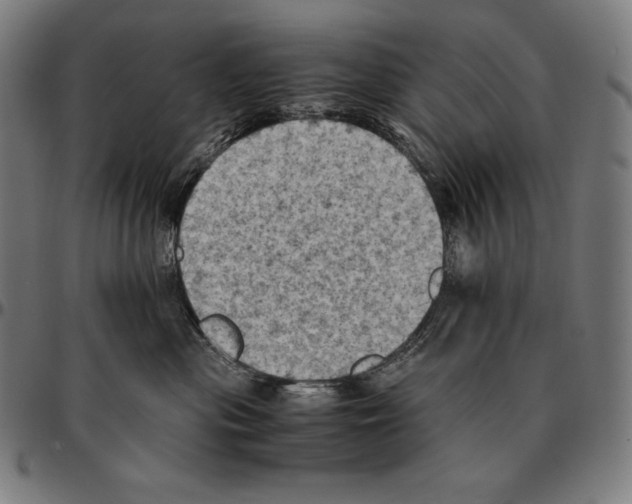 X0000095120477200801041227