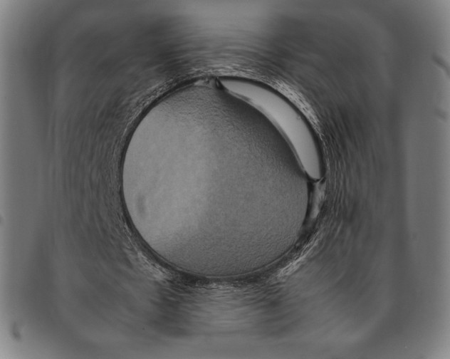 X0000095120481200801041226