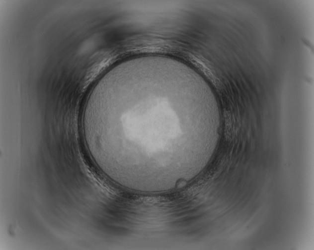 X0000095120482200801041226