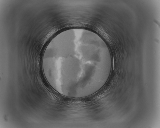 X0000095120483200801041226