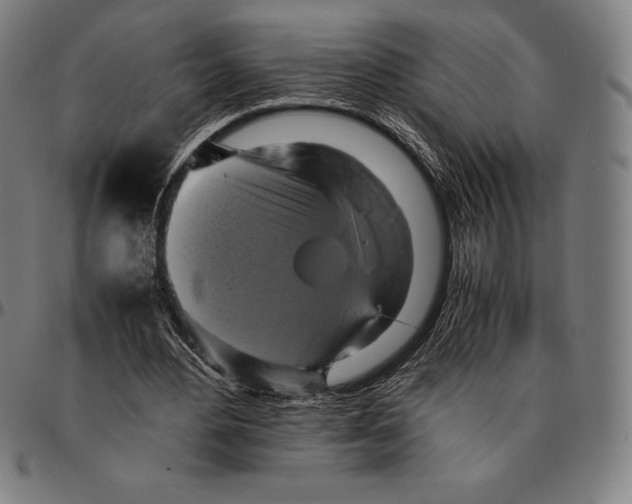 X0000095120484200801041226