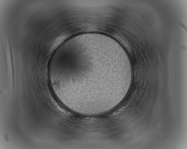 X0000095120485200801041226
