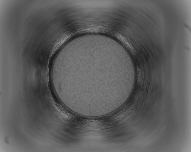 X0000095120486200801041226