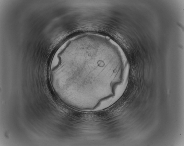 X0000095120487200801041226