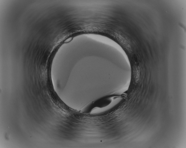 X0000095120488200801041226