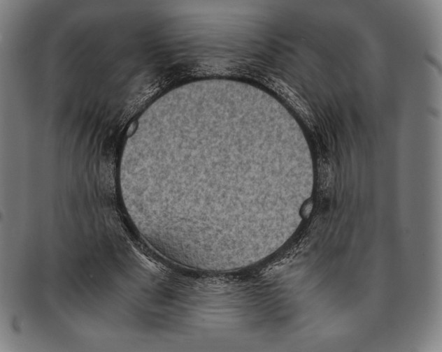 X0000095120489200801041226