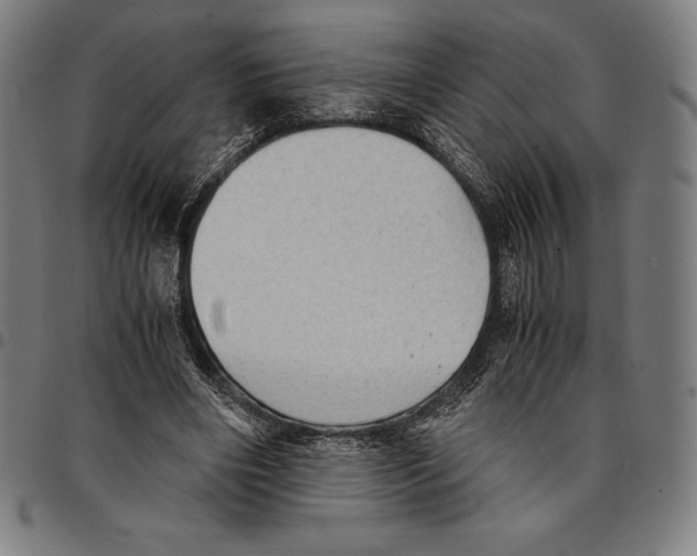 X0000095120490200801041226