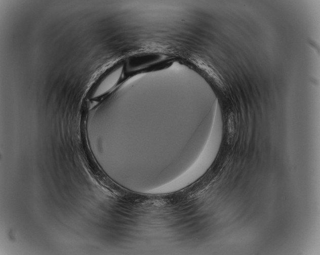 X0000095120492200801041226