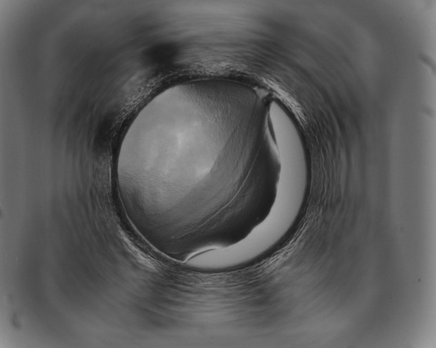 X0000095120493200801041226