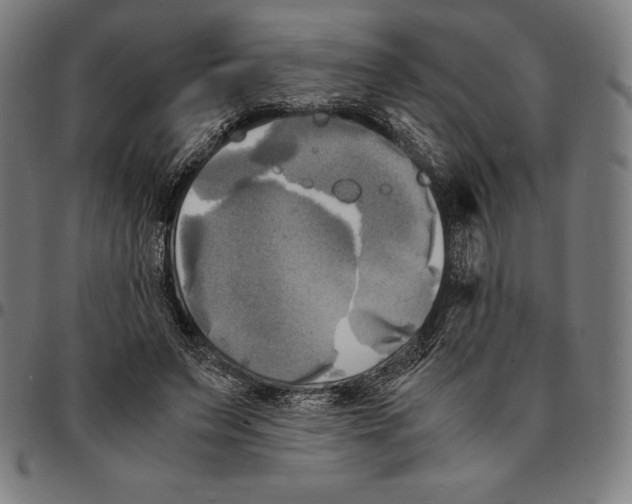 X0000095120495200801041226