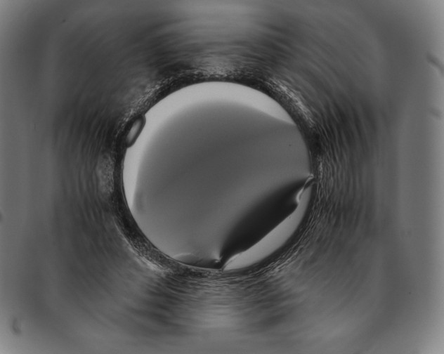 X0000095120496200801041226