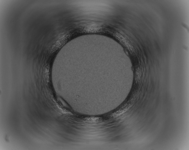 X0000095120497200801041226