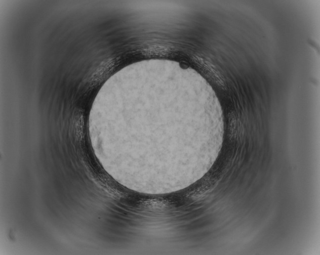 X0000095120498200801041226