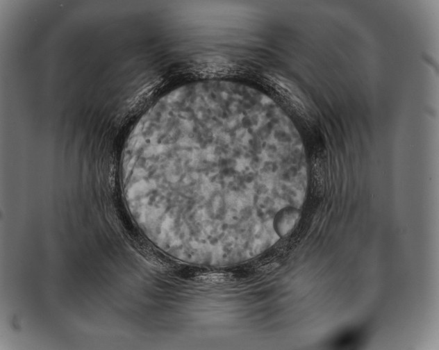 X0000095120499200801041226