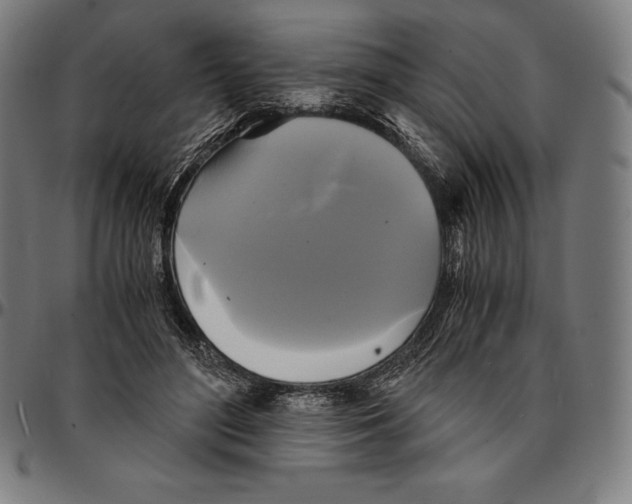 X0000095120500200801041226